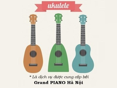 
!!! Facebook : Ukulele SE : Đàn và Phụ kiện giá rẻ - cho người mới tập chơi 